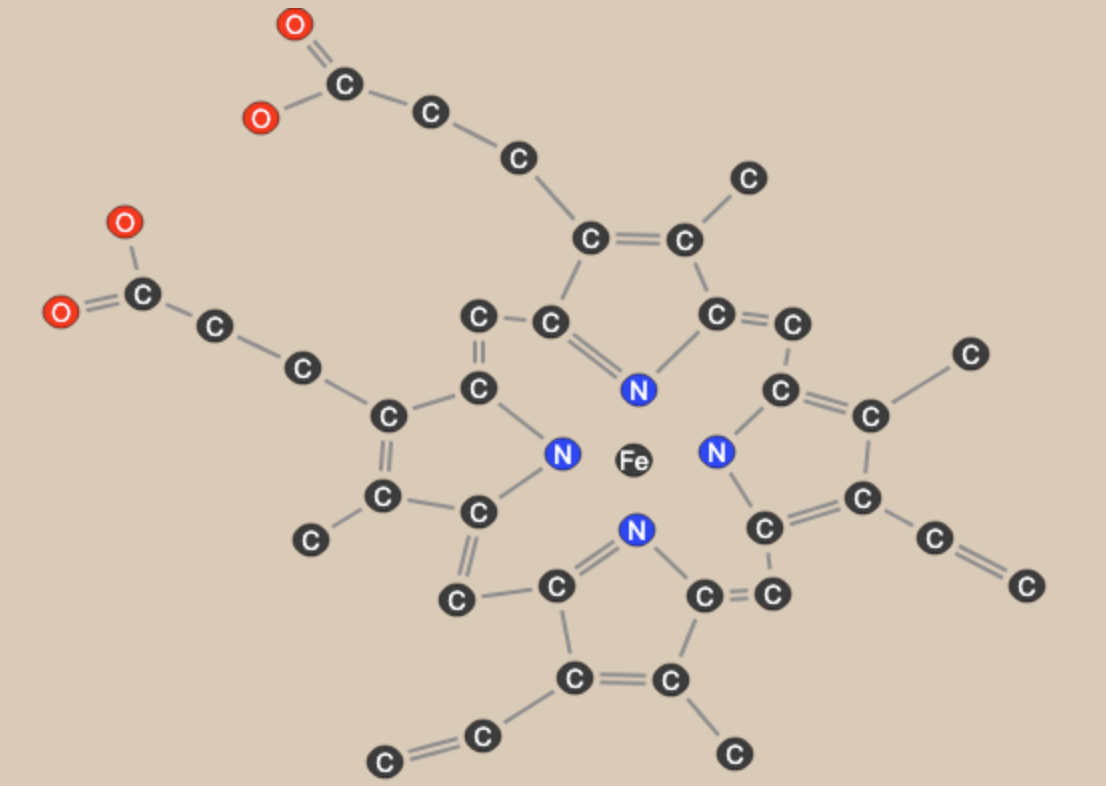 Heme Molecule