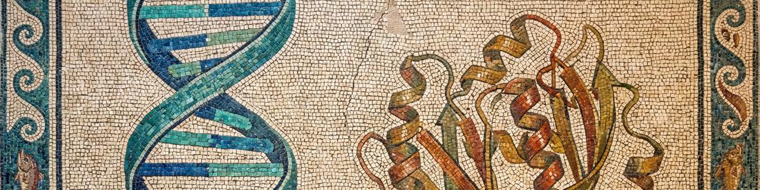 SeqQuests - A New Bioinformatics Toolkit